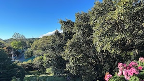 A lush garden with dense foliage and pink flowers in the foreground. - Wake Up with Birds in Monteverde - Forest Balcony & Walk to Reserves (Monteverde)