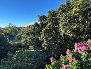 A lush garden with dense foliage and pink flowers in the foreground.