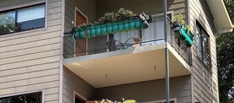 Wake Up with Birds in Monteverde - Forest Balcony & Walkable Location