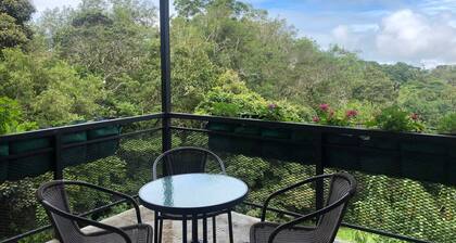 Wake Up with the Birds in Monteverde – Balcony, Views & Great Location