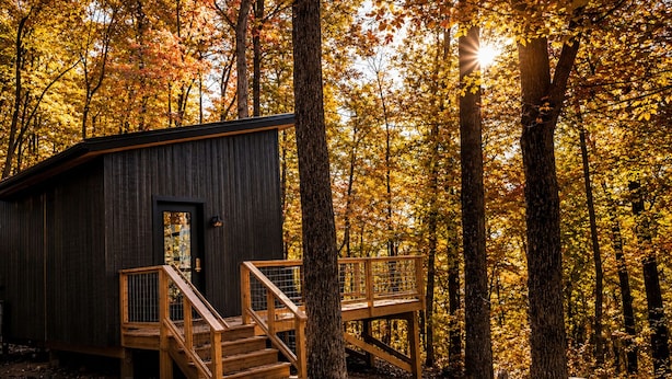 Una cabaña con terraza de madera y escaleras que conducen a una puerta, rodeada de un bosque con follaje otoñal.