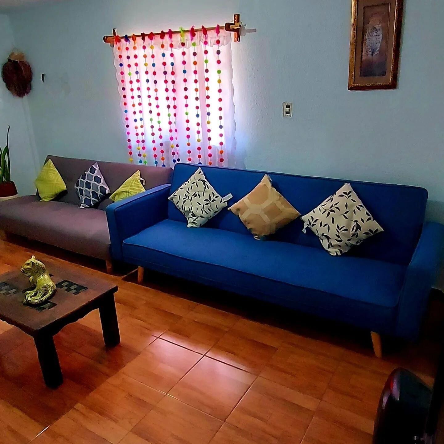 Casa del Jaguar Coleto