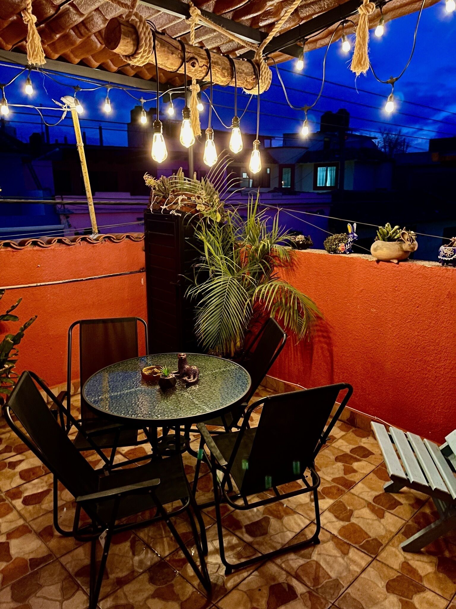 Casa del Jaguar Coleto