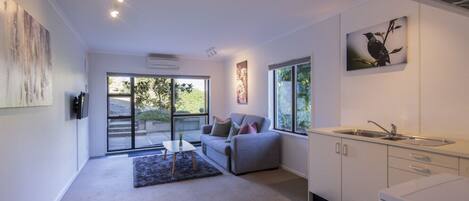 Smart TV, fireplace, books