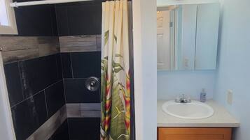 Shower, hair dryer, towels, soap