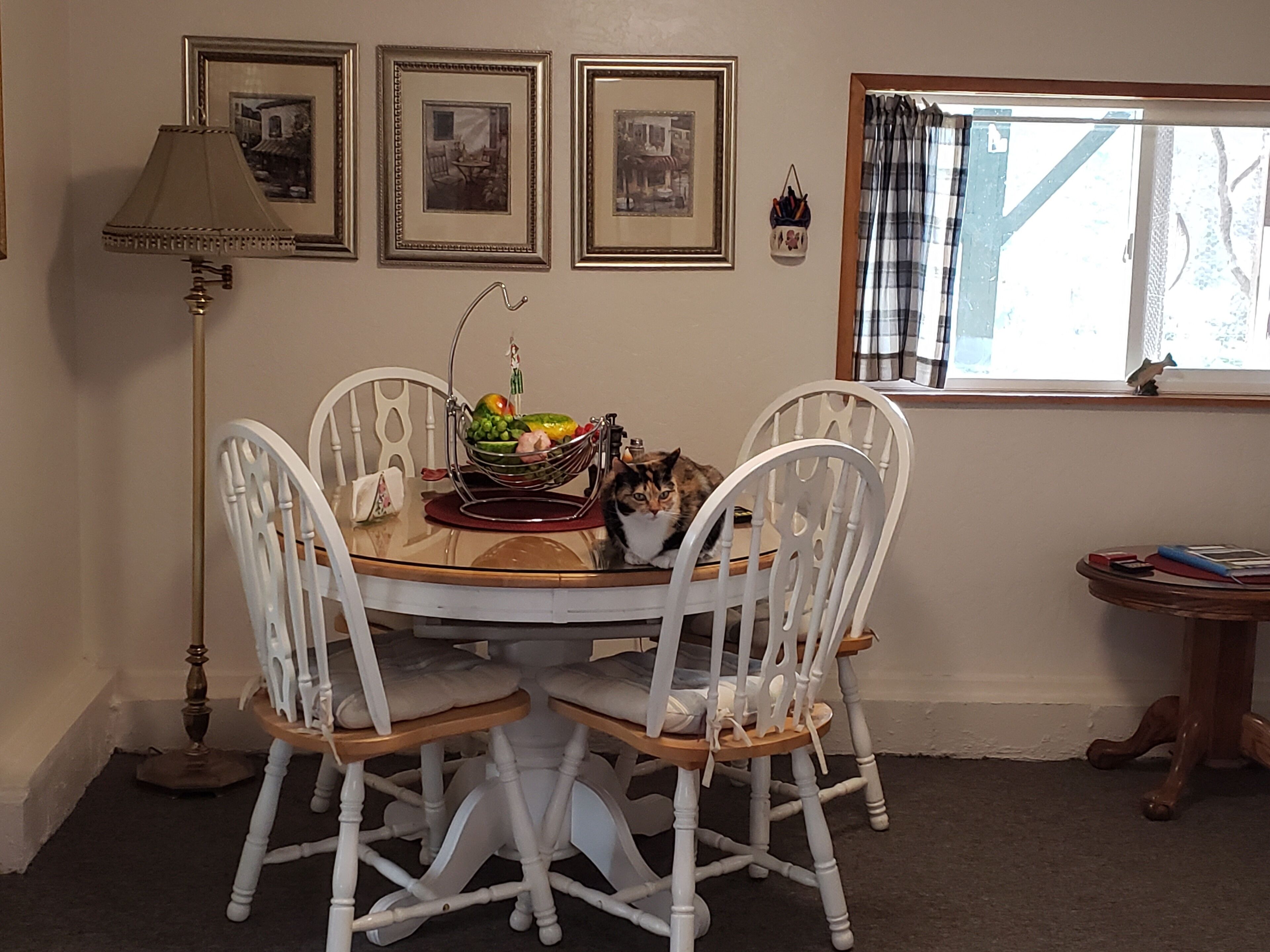 Most beautiful views on the Rogue River