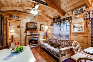 Smart TV, fireplace, DVD player, video library