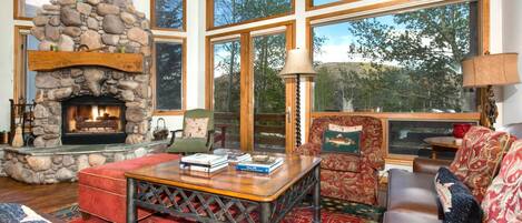 Studio (5 Bedrooms) | Living area | TV, fireplace, DVD player