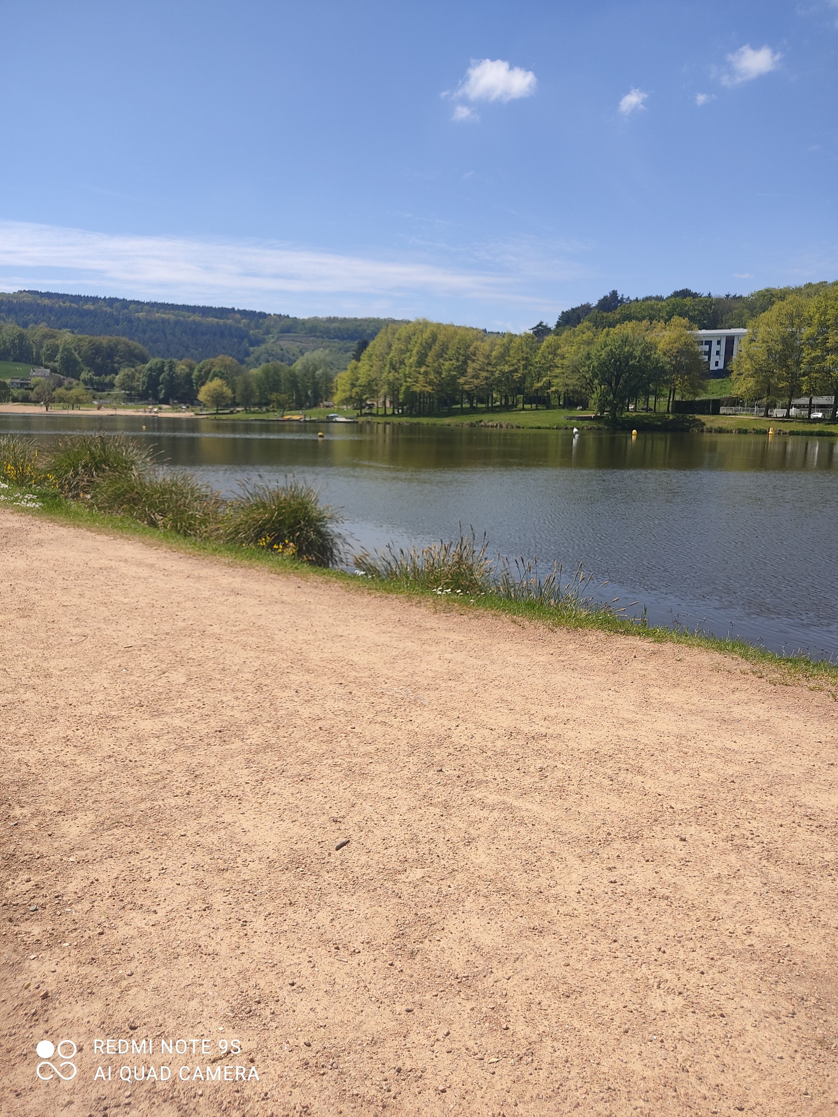 A serene lakeside view with a dirt path leading to the water, surrounded by lush greenery and a distant building.
