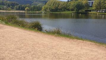 A serene lakeside view with a dirt path leading to the water, surrounded by lush greenery and a distant building.