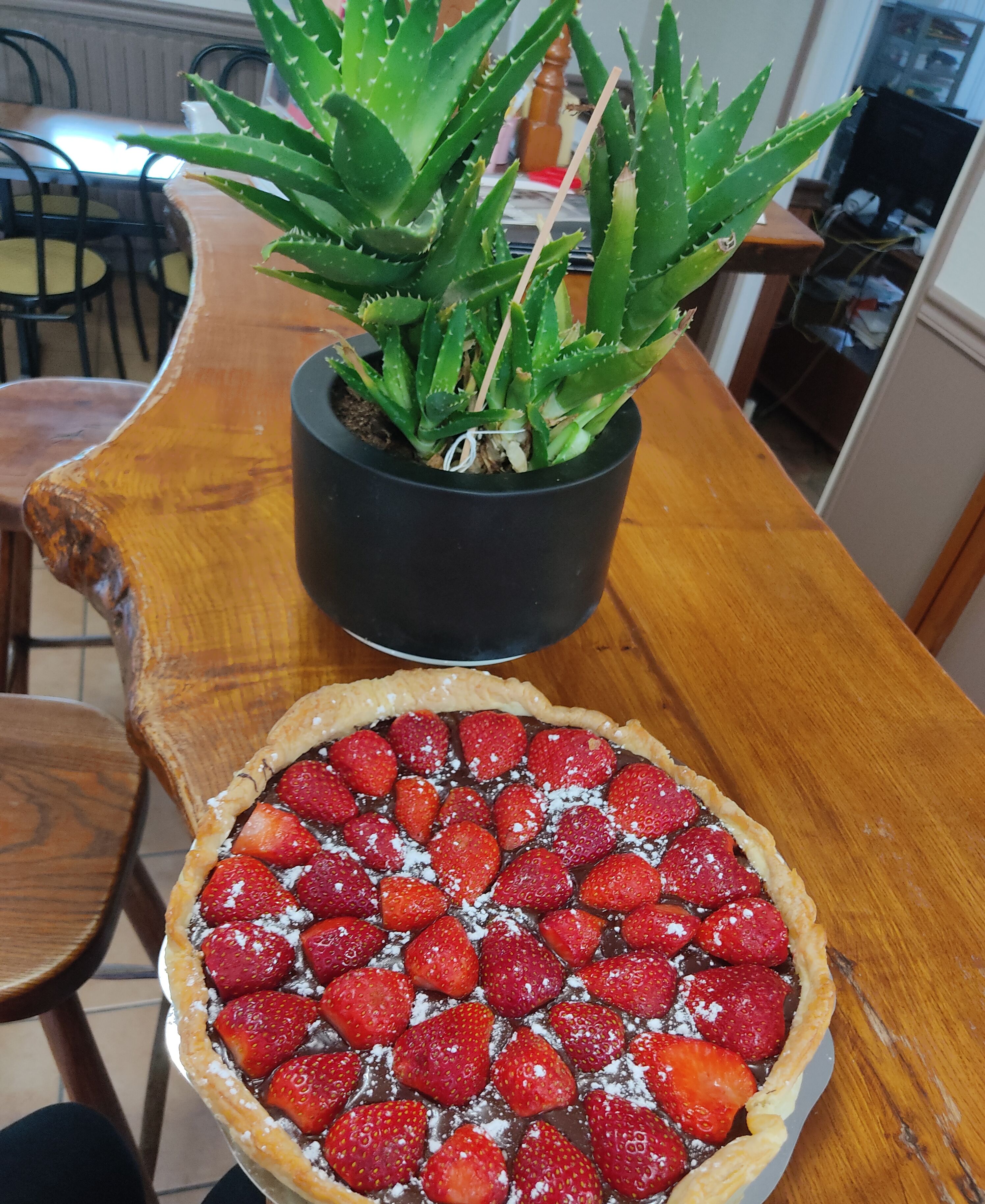 A wooden table with a pie topped with strawberries and powdered sugar, and a potted aloe vera plant.