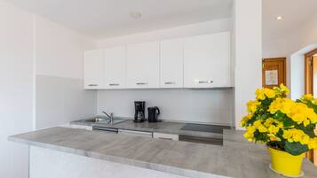Fridge, oven, stovetop, dishwasher