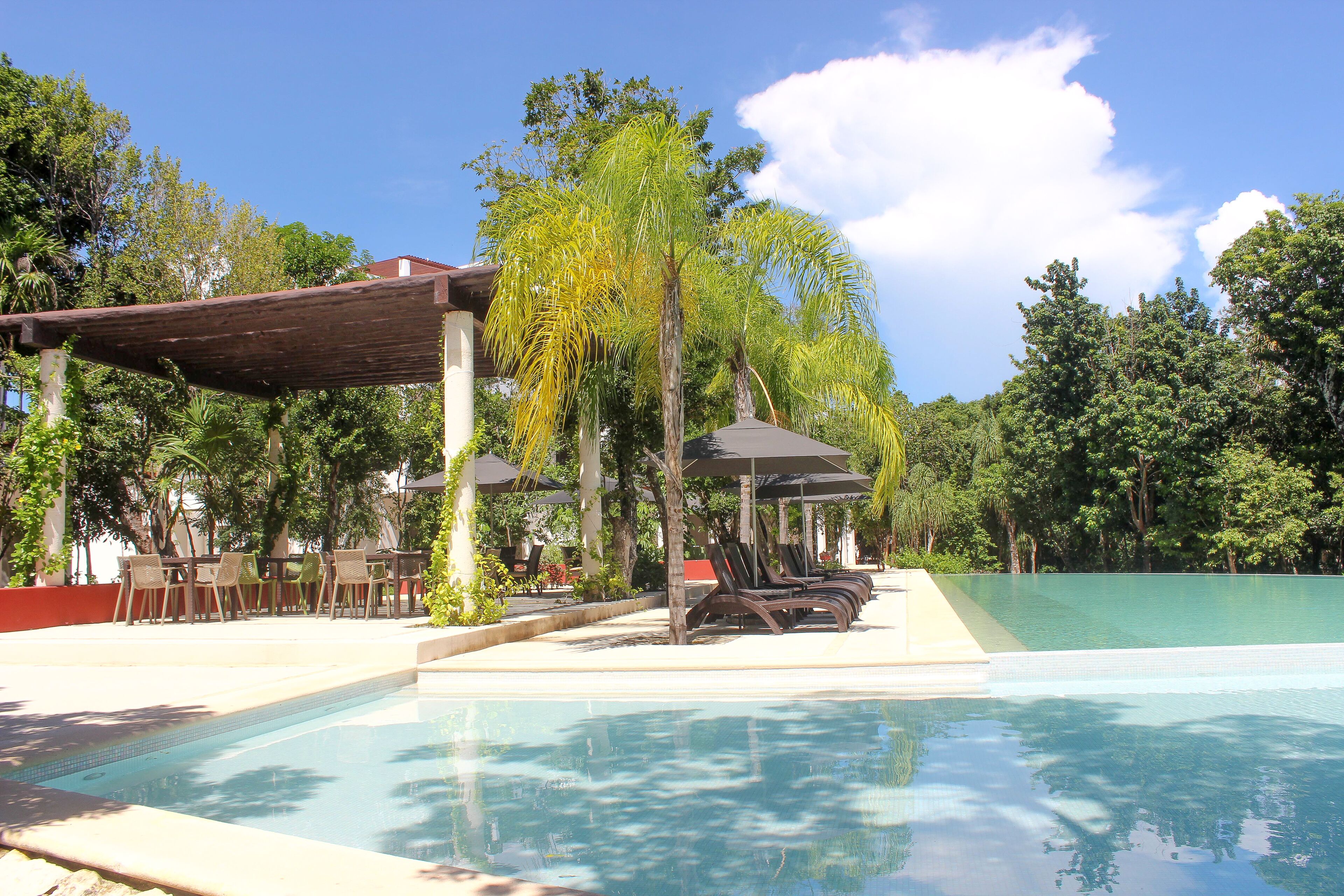 Tao Xiao M1 By Lockey