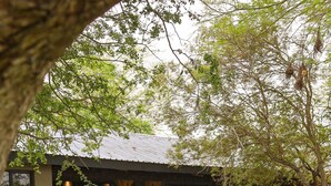 Outdoor pool - Simbavati Homestead (Bushbuckridge)