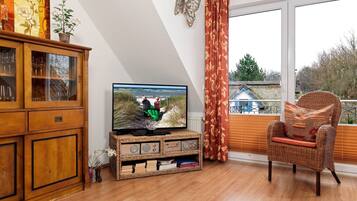 TV, books, stereo