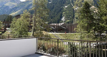Beautiful apartment with large terrace and WiFi in Pralognan