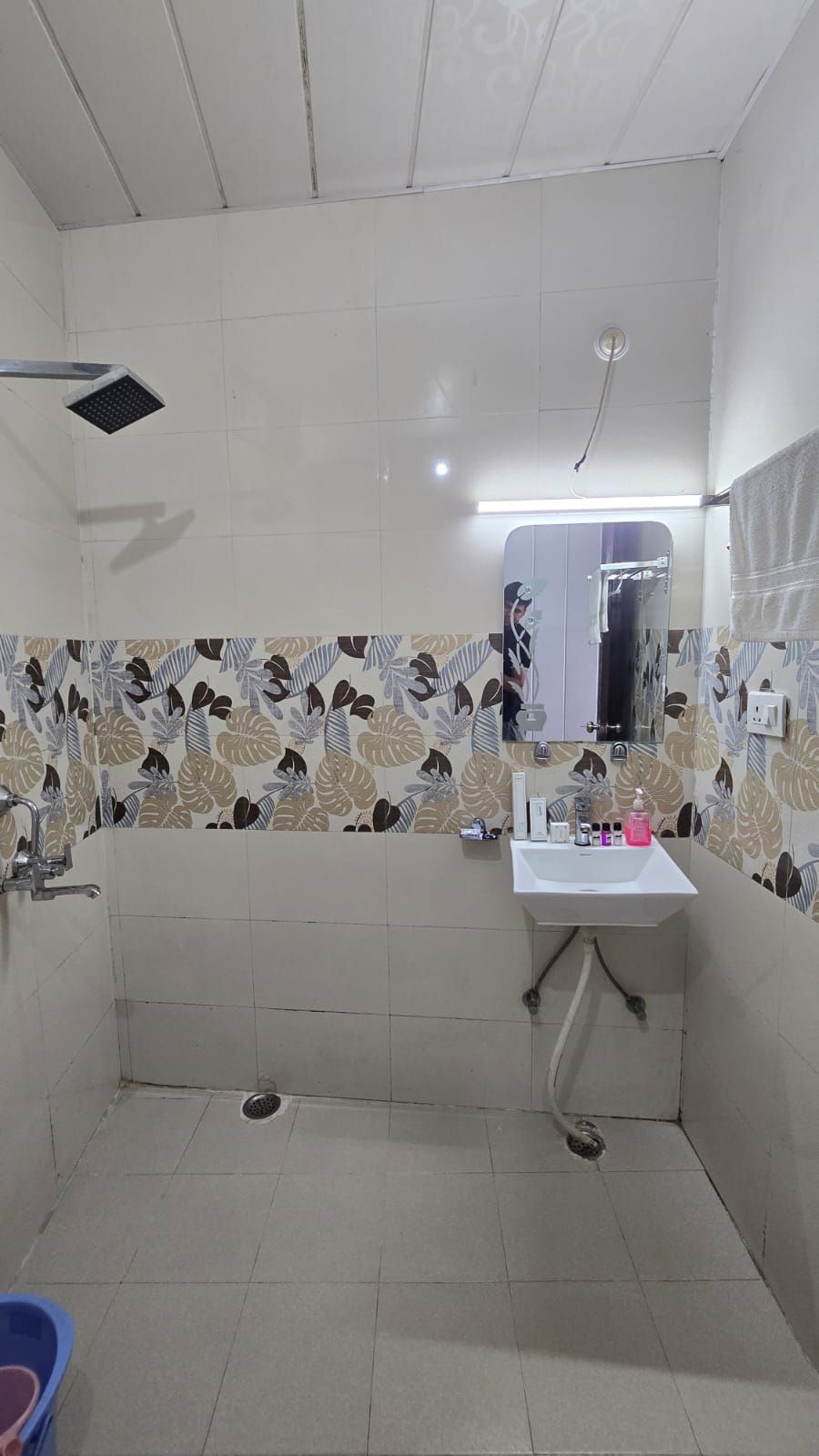 Une salle de bain avec une douche, un lavabo et un miroir.