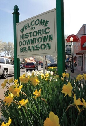 House (Downtown house- IN HISTORIC BRANSON -) | Exterior - Downtown House in Historic Branson - Awesome Location (Branson)