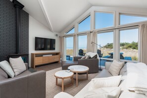 Smart TV, fireplace, books