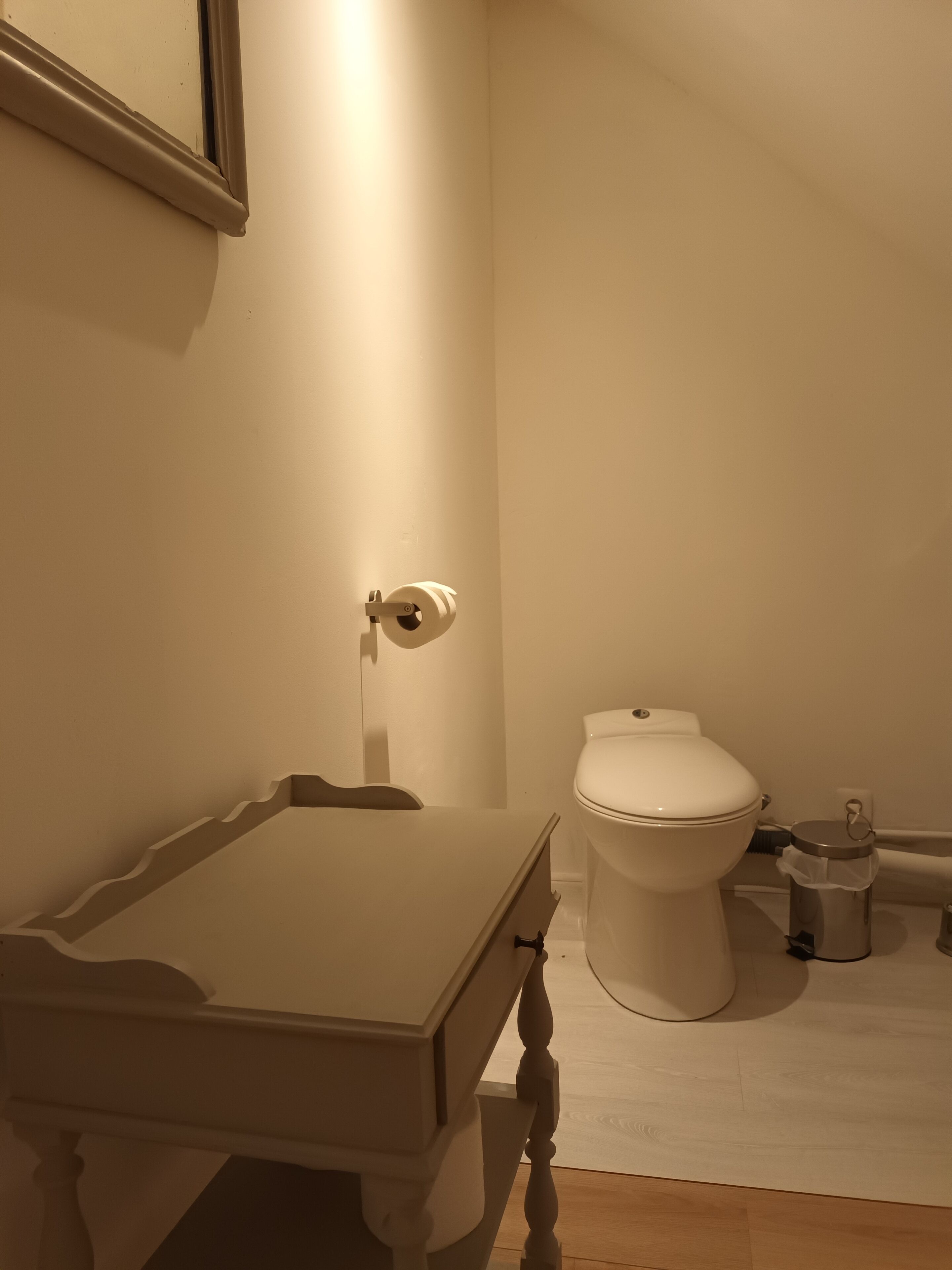 A bathroom with a toilet, a trash bin, and a toilet paper holder on the wall.
