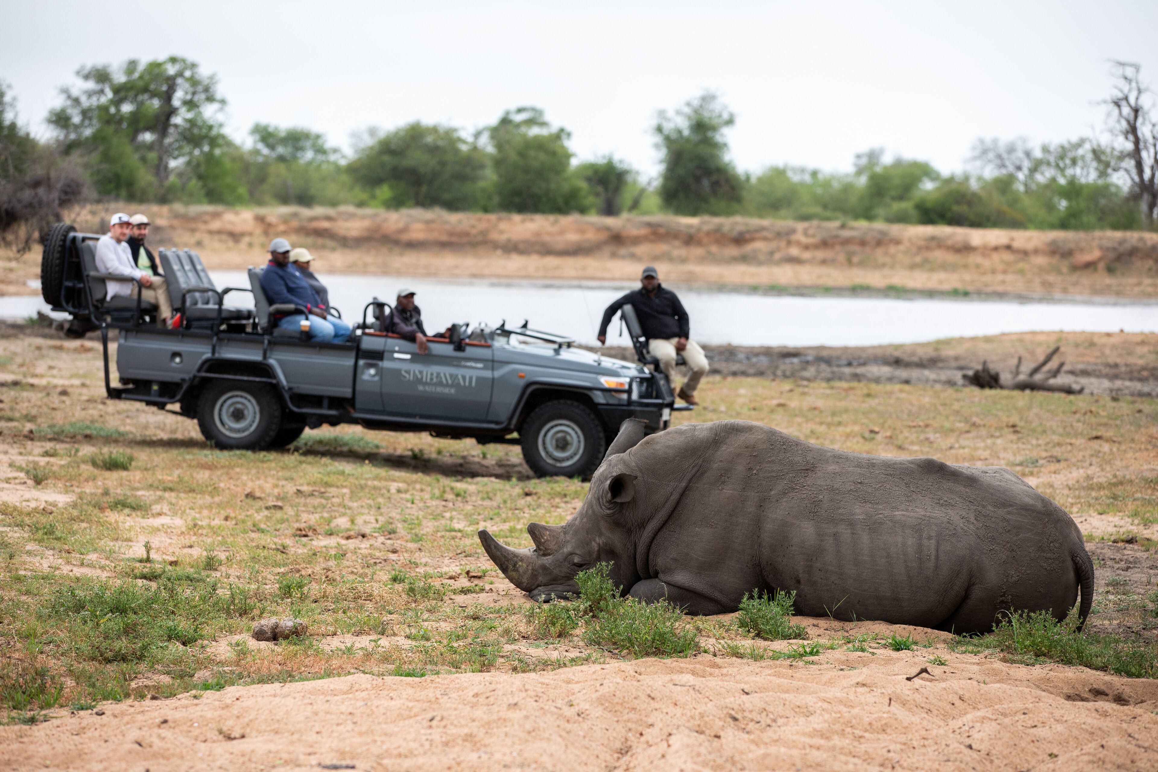 Un vehículo de safari con pasajeros observando fauna silvestre, incluyendo un rinoceronte, en un entorno natural.