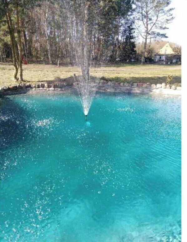 A clear blue pool with a central fountain, surrounded by a stone border and trees.