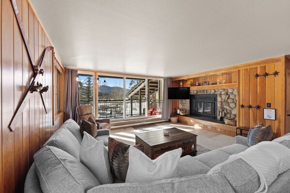 TV, fireplace, DVD player