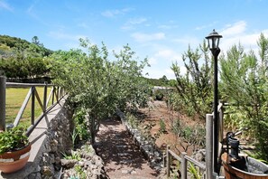 Property grounds - Country House "Finca Las Carmenes" with Sea View, Pool, Terrace & Garden (Icod de los vinos)