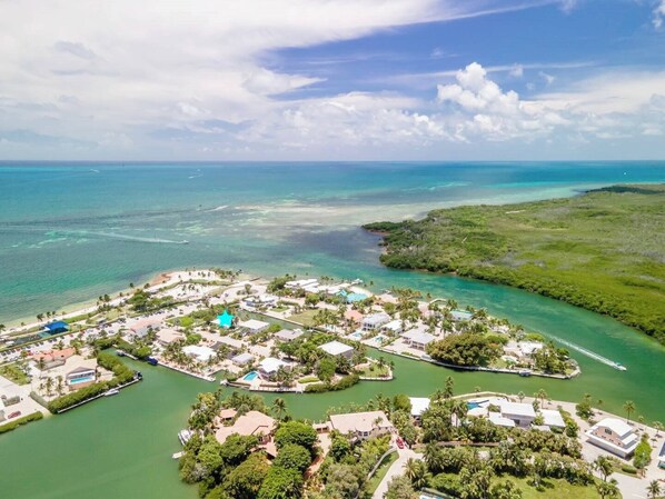 Unclassified image, 1 of 41, button