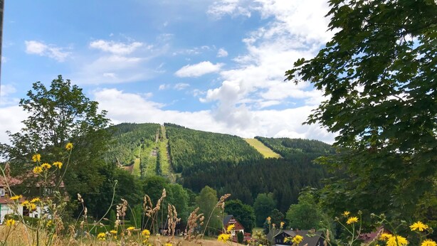 A rural landscape with a mountain, houses, and a field of yellow flowers. - Harrachov Pool & Garden by Interhome (Harrachov)