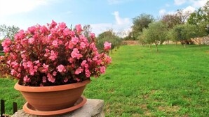 A terracotta pot with pink flowers on a stone pedestal in a grassy field with trees in the background. - Vacation home Milva by Interhome (Pula/Rakalj)