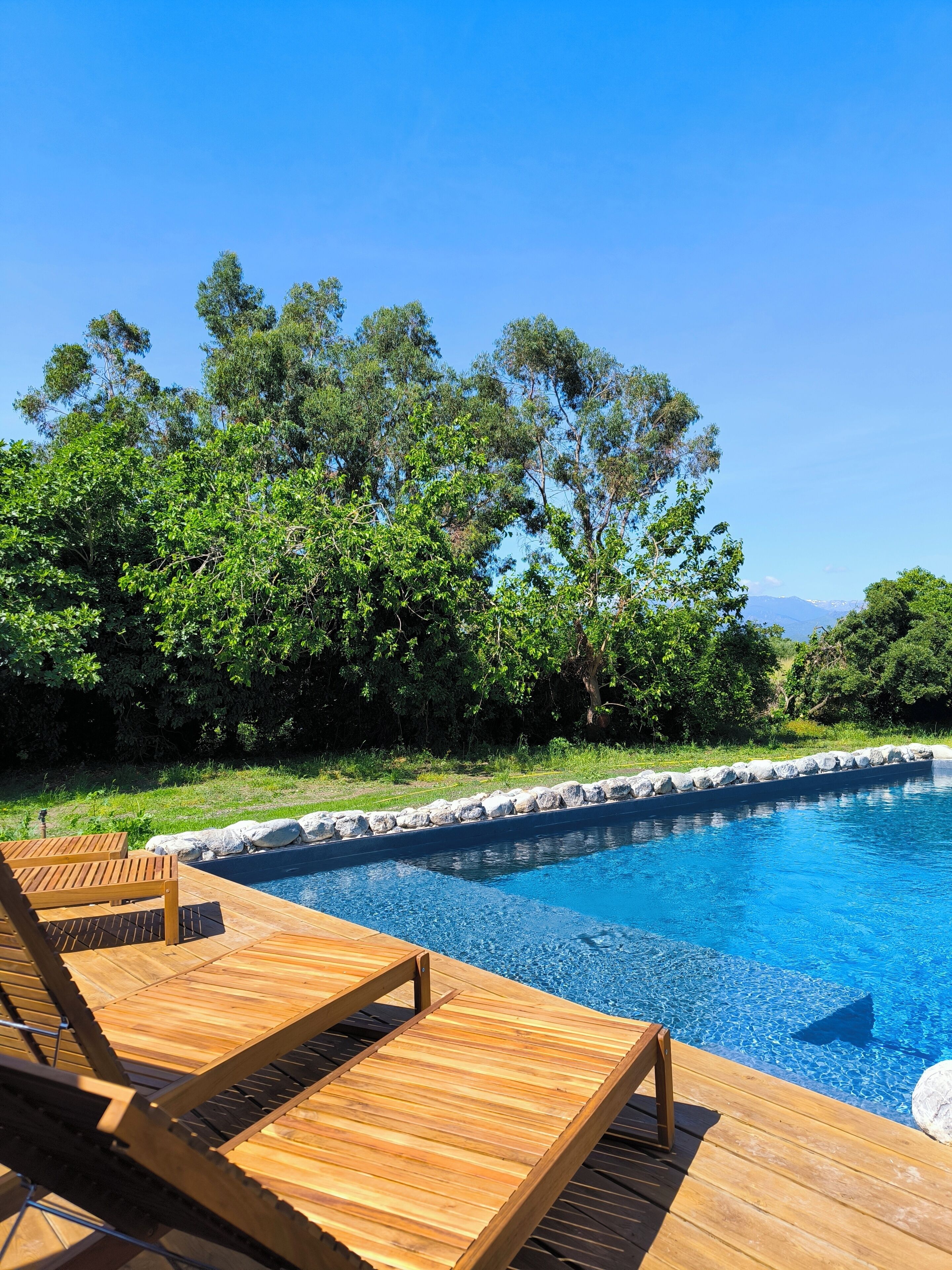 Eine Holzterrasse mit Liegestühlen neben einem Swimmingpool, umgeben von üppiger Vegetation und blauem Himmel.
