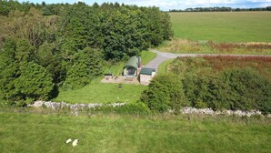 Una estructura abovedada verde rodeada de abundante vegetación y un muro de piedra.