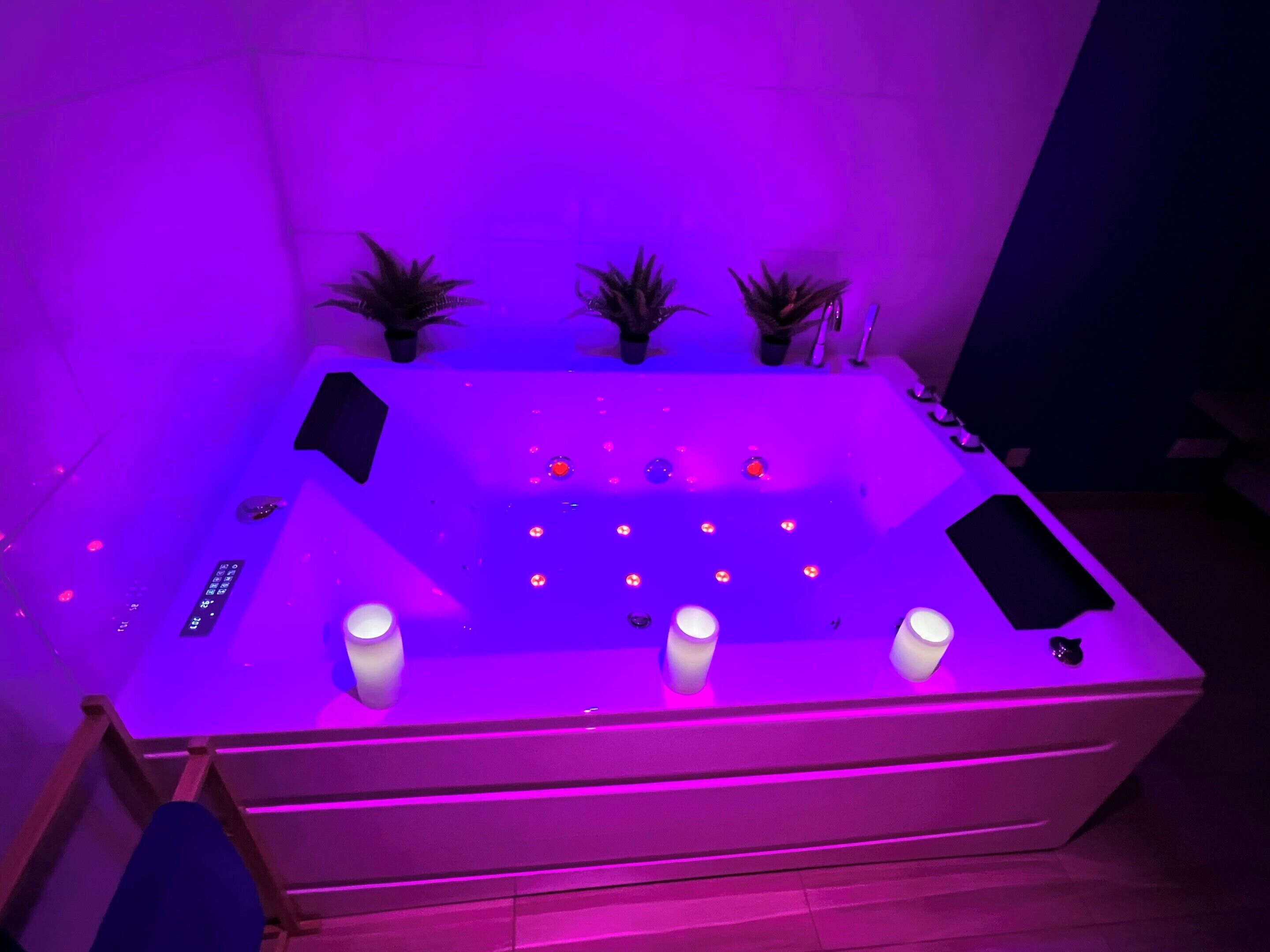 Amenidades de baño ecológicas, secadora de cabello, toallas 
