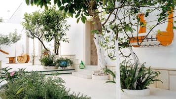 Terrazza/patio