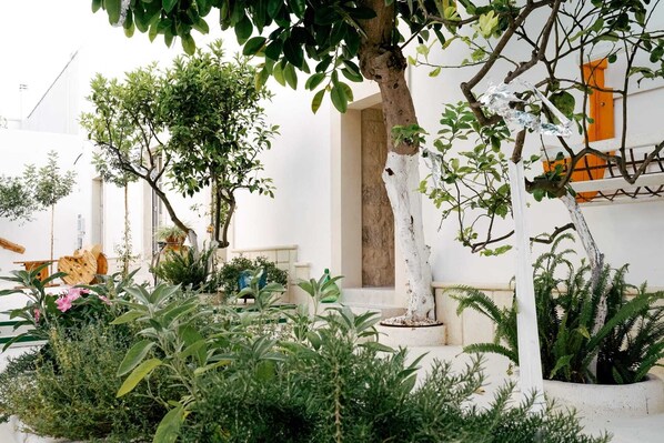 Enceinte de l’hébergement