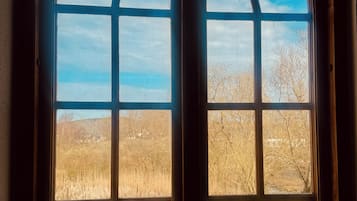 Apartment No. 2 - Countryside view - 1 Bedroom | View from room