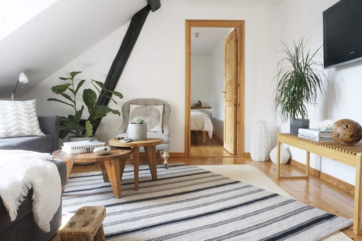 A loft-style room with a sloped ceiling, a sofa, a coffee table, a chair, a TV, and a large plant.