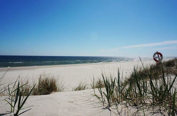 On the beach, white sand - Kåseberga Hideout (Loderup)