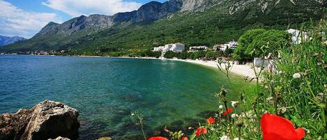 بالقرب من الشاطئ