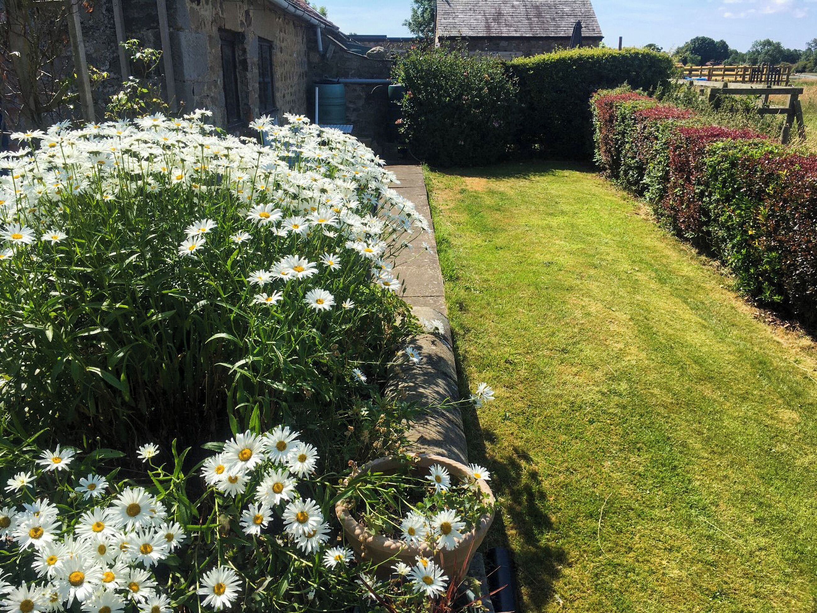 المنطقة المحيطة بالمنشأة