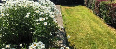 المنطقة المحيطة بالمنشأة