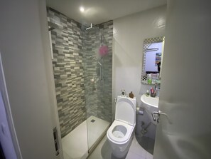 A modern bathroom with a glass-enclosed shower, a white toilet, and a sink with a mirror above it.