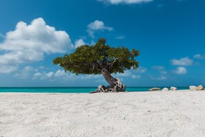 Toallas de playa
