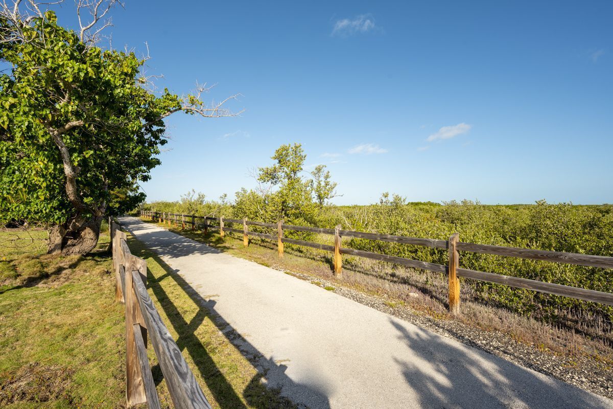 Ein gepflasterter Weg mit Holzwertschranken, umgeben von Grünpflanzen und Bäumen.