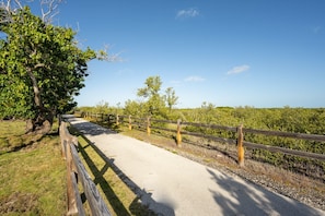 Een verhard pad met houten leuningen, omgeven door begroeiing en bomen.