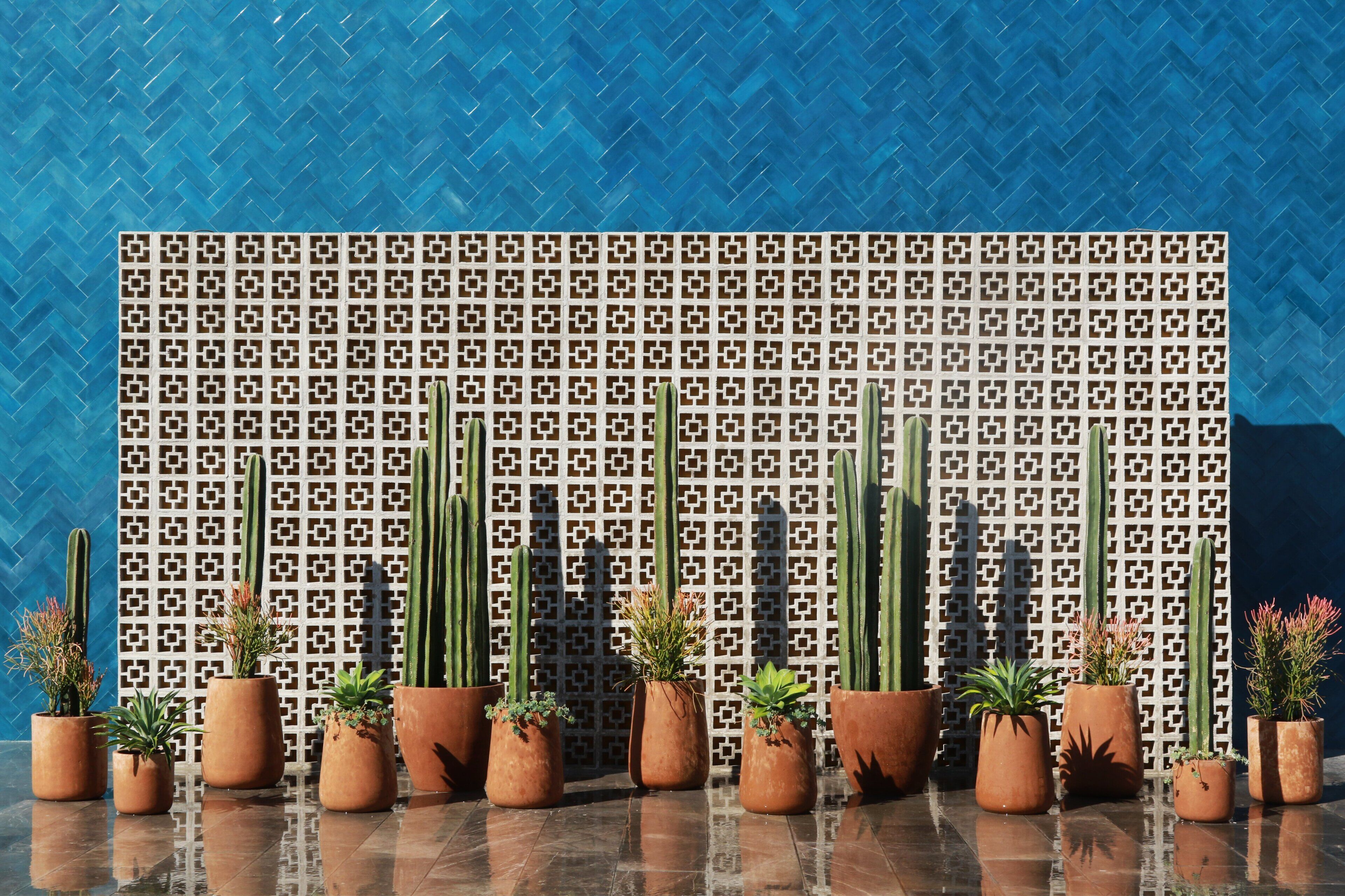 Foto - voco Guadalajara Neruda by IHG