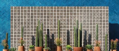 A row of potted plants in front of a patterned wall.