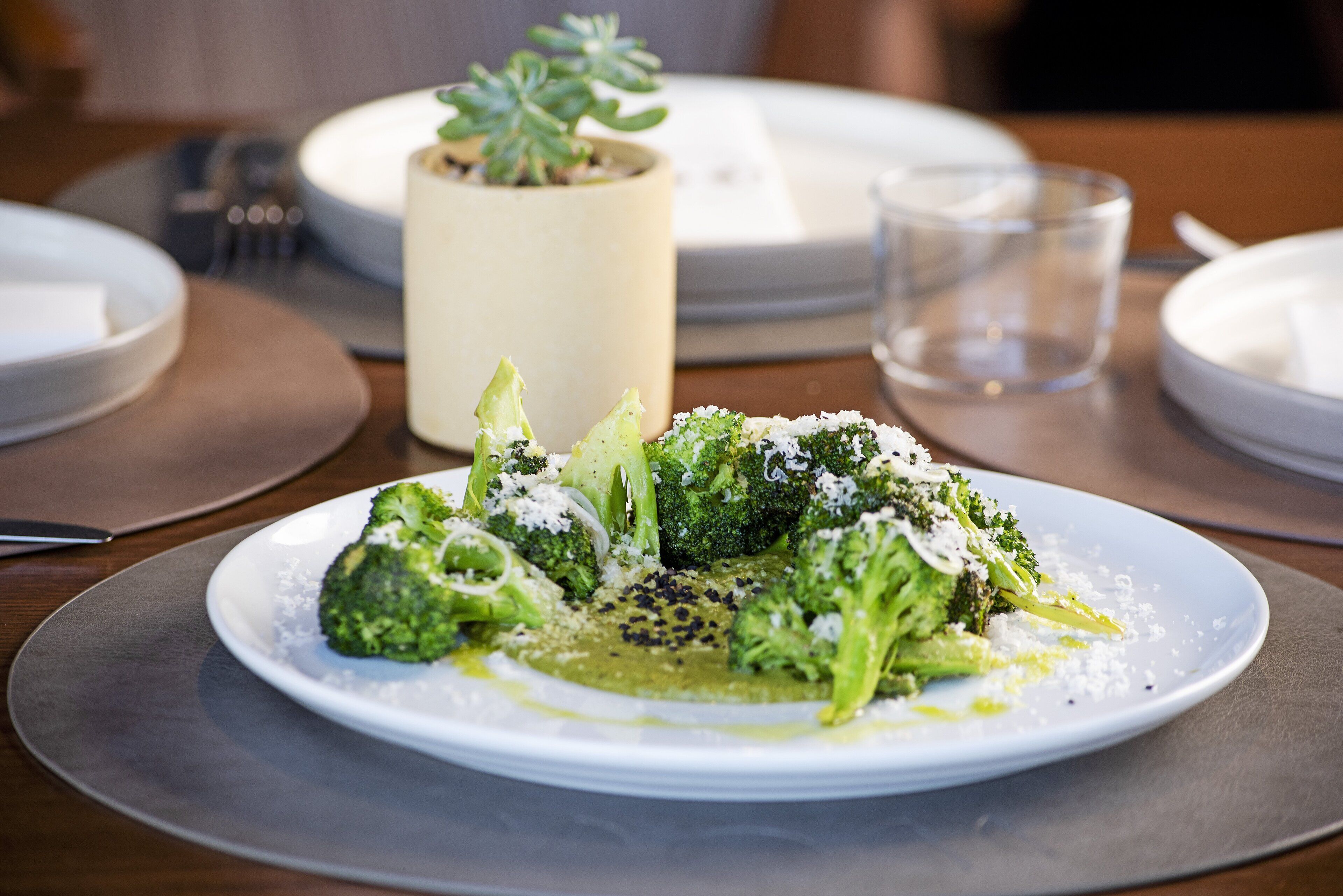 Un plato de brócoli con queso y una pequeña planta en maceta al fondo.
