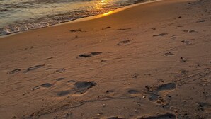 海灘